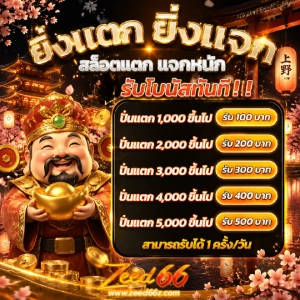 zeed 66 วอเลท